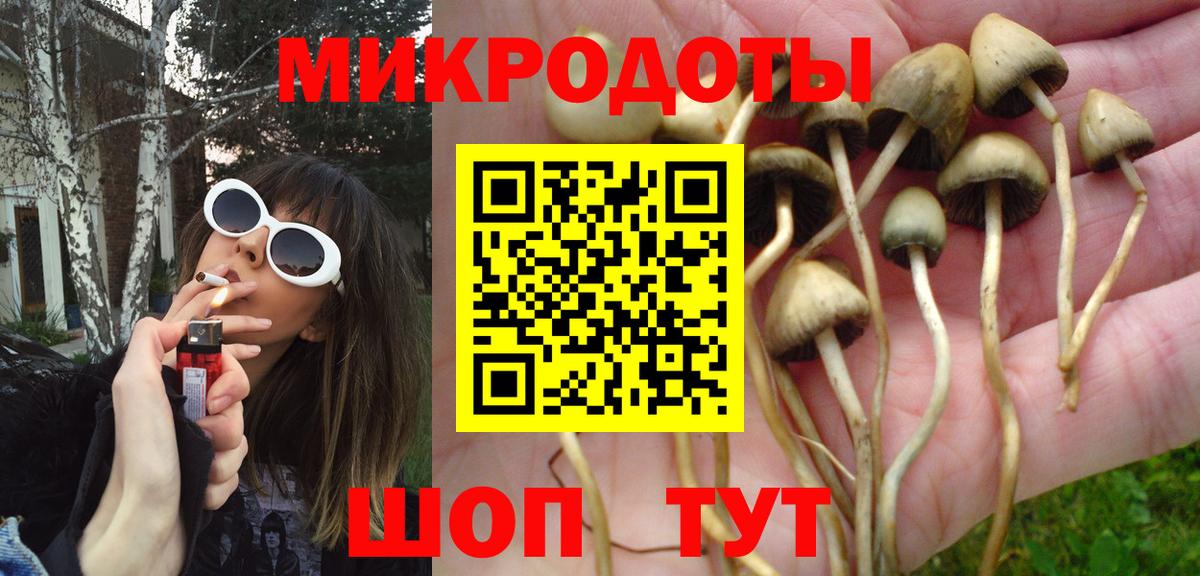 Псилоцибиновые грибы Psilocybine cubensis Ухта